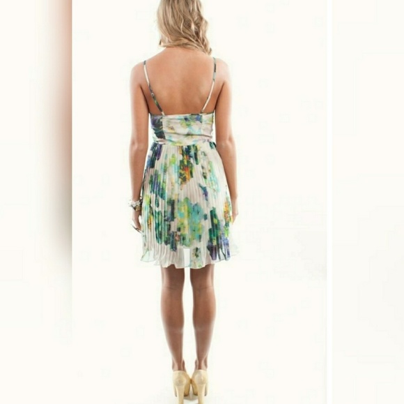 🆕🌿BB DAKOTA FLORAL DRESS 🌿 - Picture 11 of 12